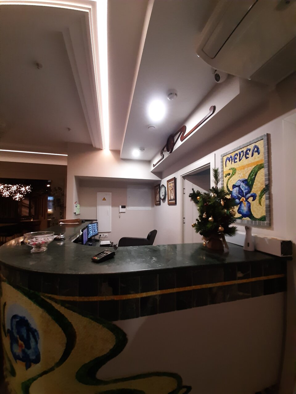 Гостиница Медея Москва-119