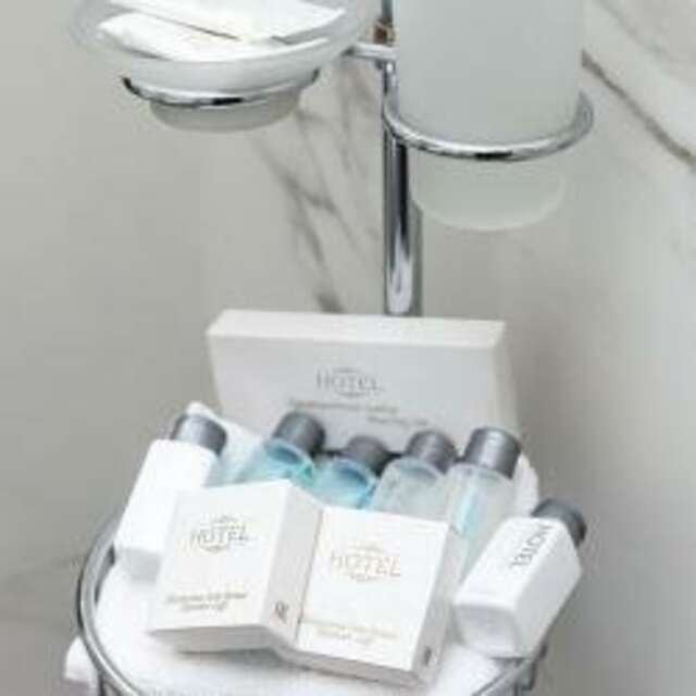 Гостиница Медея Москва-74